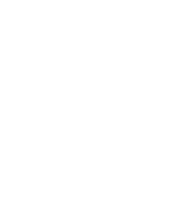 Witch Hotel